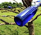 Bottle Tree